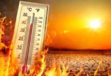 झारखंड में भीषण गर्मी का कहर, मेदिनीनगर में पारा 45 डिग्री के पार
