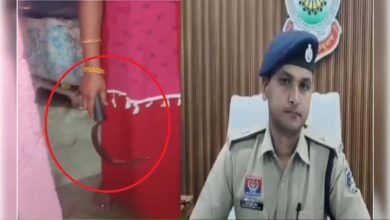 घरेलू विवाद ने लिया खौफनाक मोड़, पत्नी ने पति पर हमला कर काटा प्राइवेट पार्ट घरेलू विवाद ने लिया खौफनाक मोड़, पत्नी ने पति पर हमला कर काटा प्राइवेट पार्ट