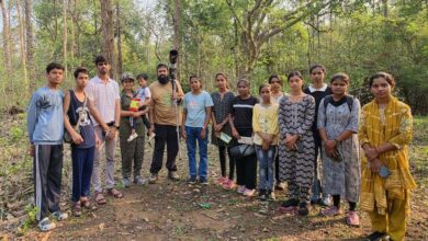 बारनवापारा के देवपुर जंगल में दिखी दुर्लभ विशाल भारतीय गिलहरी बारनवापारा के देवपुर जंगल में दिखी दुर्लभ विशाल भारतीय गिलहरी