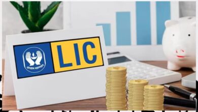 LIC शेयर में एक दिन में 50% गिरावट! निवेशकों में मची हलचल, जानिए वजह