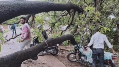 MP Weather Update: ग्वालियर-मुरैना में बारिश, 6 जिलों में लू और आंधी-ओलों का अलर्ट
