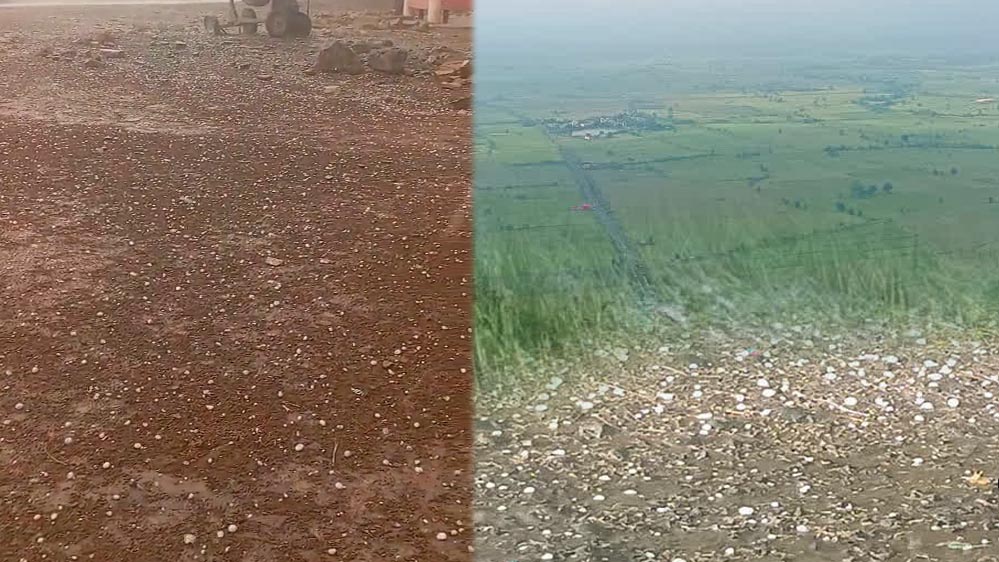 नौतपा में बदला मौसम का मिजाज! MP में आंधी-तूफान और ओलावृष्टि का अलर्ट, कई जिलों में बारिश नौतपा में बदला मौसम का मिजाज! MP में आंधी-तूफान और ओलावृष्टि का अलर्ट, कई जिलों में बारिश
