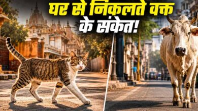 घर से निकलते समय दिखें ये संकेत हो सकते हैं शुभ या अशुभ घर से निकलते समय दिखें ये संकेत हो सकते हैं शुभ या अशुभ