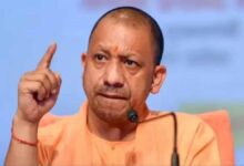 यूपी की ‘गो-इकोनॉमी’ बनी वैश्विक मॉडल: देशी गायों से 10 करोड़ का कारोबार और विदेशों में बढ़ी मांग