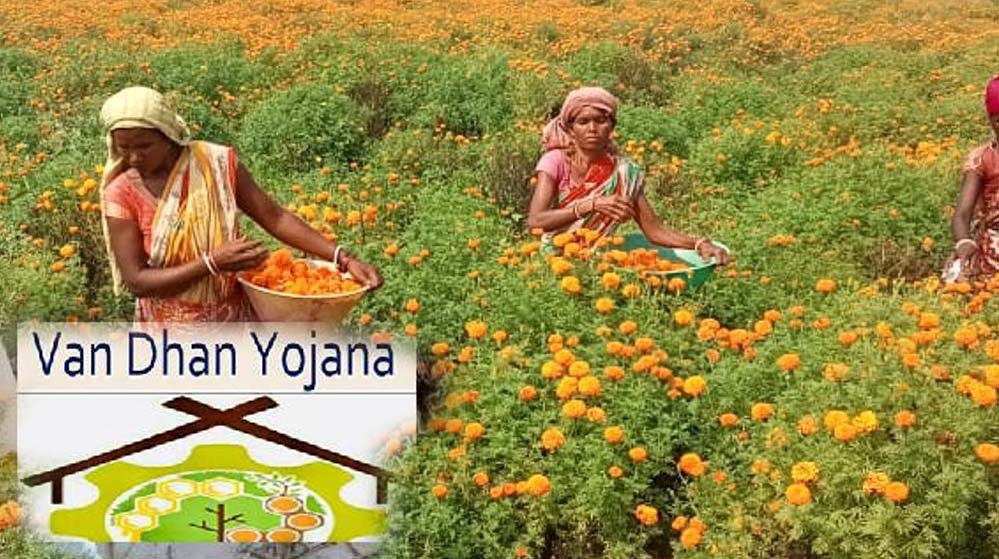 नारी शक्ति वंदन: वन धन केन्द्रों से आत्मनिर्भर बन रहीं जनजातीय वर्ग की महिलाएं