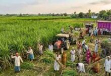 बिहार में डीबीटी योजना का बड़ा असर, 49 हजार करोड़ रुपये सीधे लाभुकों के खातों में पहुंचे