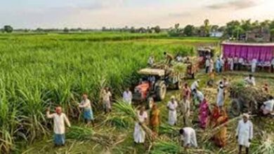 बिहार में डीबीटी योजना का बड़ा असर, 49 हजार करोड़ रुपये सीधे लाभुकों के खातों में पहुंचे बिहार में डीबीटी योजना का बड़ा असर, 49 हजार करोड़ रुपये सीधे लाभुकों के खातों में पहुंचे