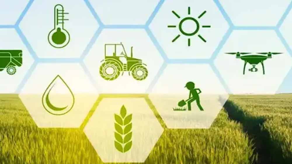 झारखंड में किसानों को बड़ा तोहफा, 30 नई फसल किस्मों को मंजूरी झारखंड में किसानों को बड़ा तोहफा, 30 नई फसल किस्मों को मंजूरी