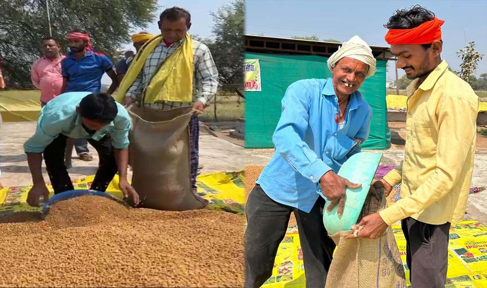 धमतरी का गौरव: विश्व की सबसे बड़ी अनाज भंडारण योजना में बनाया कीर्तिमान,   प्रदेश के कुल चने का 50% अकेले खरीदा