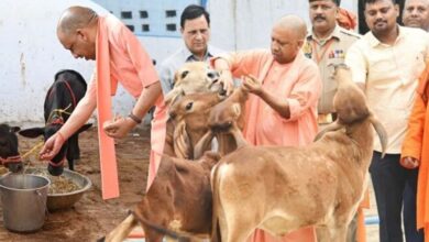 गो सेवा से समृद्धि का मॉडल, यूपी में डेयरी सेक्टर बना ग्रामीण अर्थव्यवस्था का मजबूत आधार