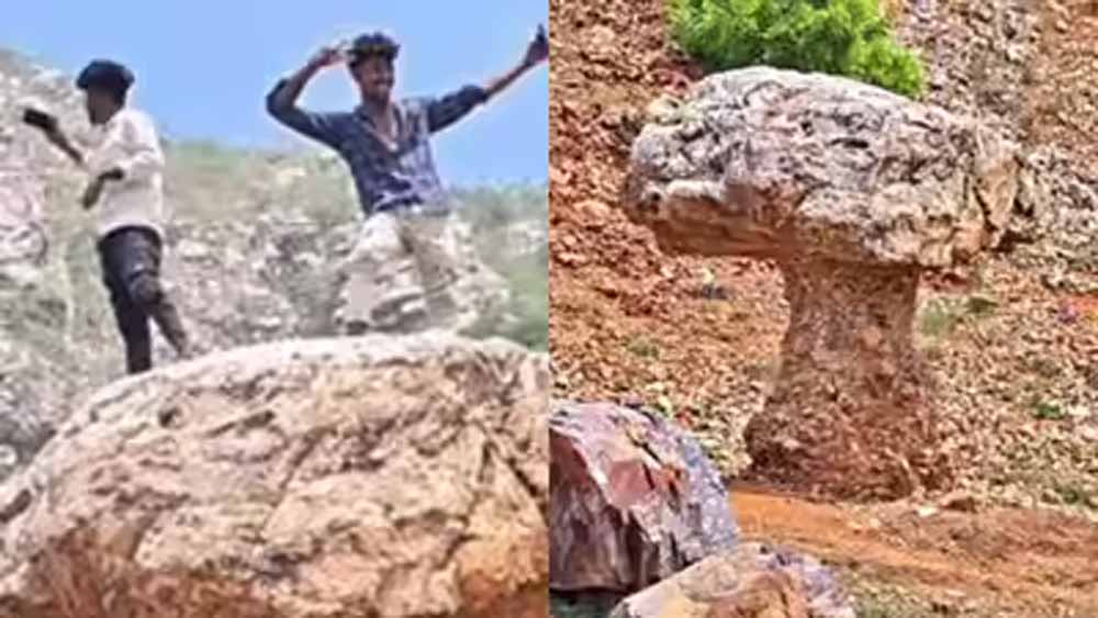 गया में मशरूम के आकार की अनोखी चट्टान बनी पर्यटकों का आकर्षण, गांव को मिली नई पहचान गया में मशरूम के आकार की अनोखी चट्टान बनी पर्यटकों का आकर्षण, गांव को मिली नई पहचान