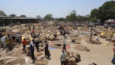 देश की अनोखी नीमच हर्बल मंडी देश की अनोखी नीमच हर्बल मंडी