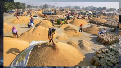 मंडियों में धान की रिकॉर्डतोड़ आवक, पिछले साल के आंकड़े हुए ध्वस्त