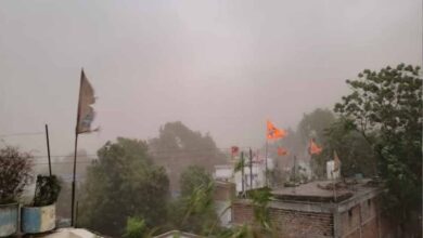 तेज आंधी-बारिश से रायपुर बेहाल, पेड़ गिरे, फिर बिगड़ सकता है मौसम