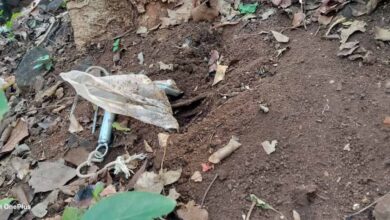 दंतेवाड़ा में बड़ा खतरा टला! प्रेशर कुकर IED बरामद, CRPF की BDS टीम ने किया डिफ्यूज दंतेवाड़ा में बड़ा खतरा टला! प्रेशर कुकर IED बरामद, CRPF की BDS टीम ने किया डिफ्यूज