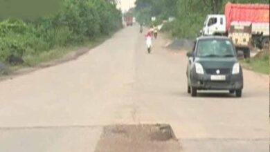 रायगढ़ में दर्दनाक हादसा, भारतमाला सड़क पर तेज रफ्तार वाहन ने 7 बैलों को कुचला; 5 की मौत