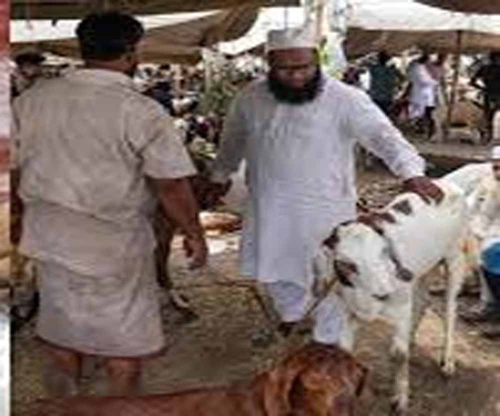 बकरीद की छुट्टी की तारीख बदली, अब 28 मई को रहेगा सार्वजनिक अवकाश बकरीद की छुट्टी की तारीख बदली, अब 28 मई को रहेगा सार्वजनिक अवकाश