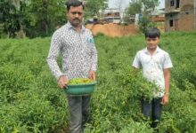 विशंकर जलाशय की सुरक्षा के लिए गेटों की मरम्मत एवं आवश्यक कार्यों हेतु 65.50 करोड़ रुपए की मिली प्रशासनिक स्वीकृति