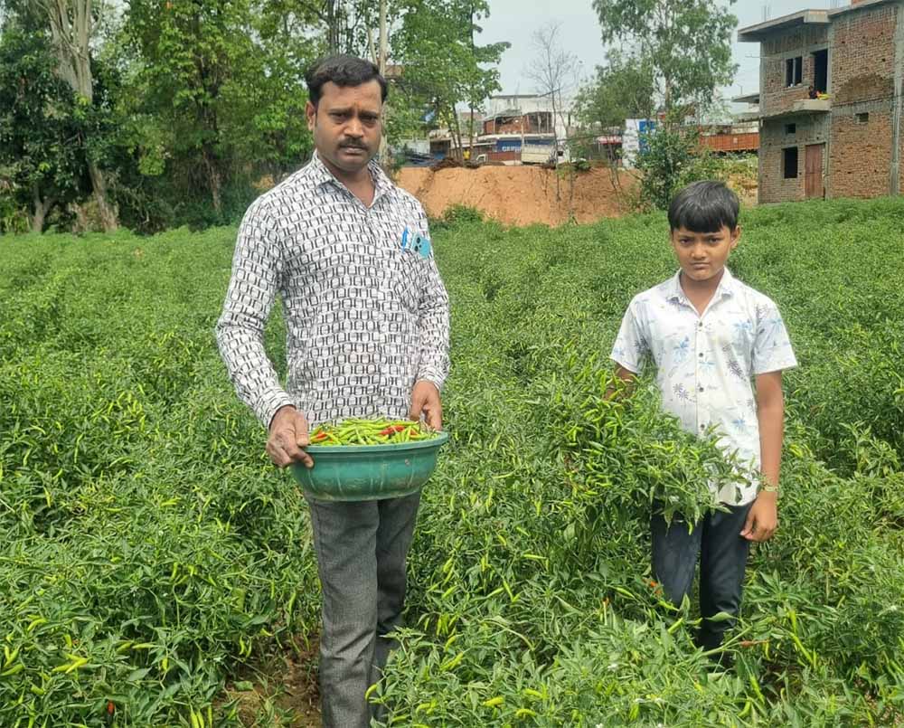 विशंकर जलाशय की सुरक्षा के लिए गेटों की मरम्मत एवं आवश्यक कार्यों हेतु 65.50 करोड़ रुपए की मिली प्रशासनिक स्वीकृति विशंकर जलाशय की सुरक्षा के लिए गेटों की मरम्मत एवं आवश्यक कार्यों हेतु 65.50 करोड़ रुपए की मिली प्रशासनिक स्वीकृति
