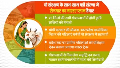 गो संरक्षण के साथ-साथ बड़ी संख्या में रोजगार का मास्टर प्लान तैयार