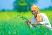 बदलती खेती में नैनो यूरिया और नैनो डीएपी बन रहे किसानों की नई पसंद