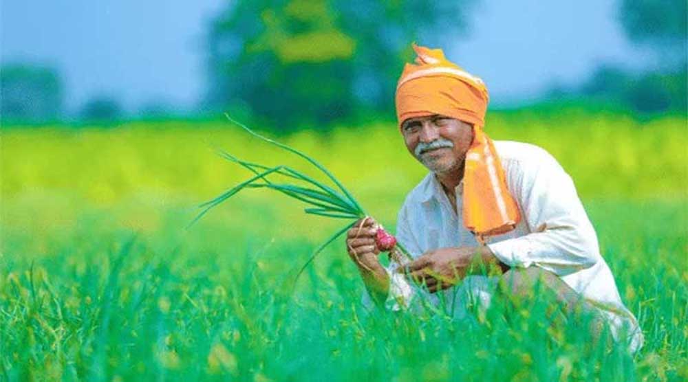 बदलती खेती में नैनो यूरिया और नैनो डीएपी बन रहे किसानों की नई पसंद बदलती खेती में नैनो यूरिया और नैनो डीएपी बन रहे किसानों की नई पसंद