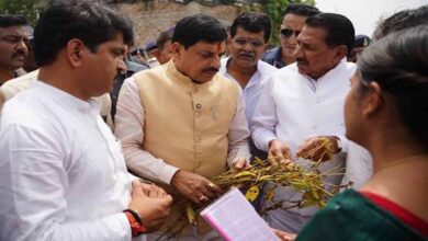 अगले पांच साल तक जारी रहेगी प्रधानमंत्री फसल बीमा योजना अगले पांच साल तक जारी रहेगी प्रधानमंत्री फसल बीमा योजना
