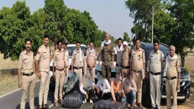मध्यप्रदेश पुलिस की नशे के विरुद्ध प्रभावी कार्यवाही