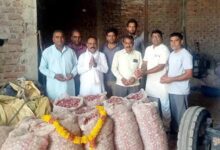 MP में किसानों का अनोखा विरोध, प्याज की बोरियों को पहनाई माला, बोले- खेती घाटे का सौदा