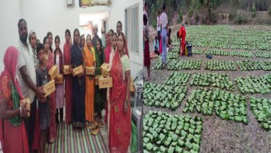 तेन्दूपत्ता से बदली जिंदगी, बढ़ी आय और सम्मान बढ़ी आय और सम्मान