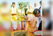 यूपी में सर्वाधिक पौधरोपण, ‘एक पेड़ मां के नाम’ अभियान से सीखेगी दुनिया