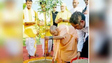 यूपी में सर्वाधिक पौधरोपण, ‘एक पेड़ मां के नाम’ अभियान से सीखेगी दुनिया