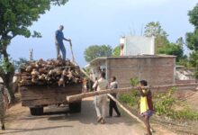 गौरेला क्षेत्र में सागौन की अवैध कटाई पर वन विभाग की बड़ी कार्रवाई