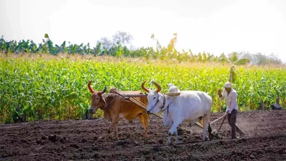 योगी सरकार की किसान हितैषी पहल, अनाज खरीद में रिकॉर्ड भुगतान से जीता भरोसा योगी सरकार की किसान हितैषी पहल, अनाज खरीद में रिकॉर्ड भुगतान से जीता भरोसा