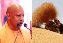 प्रदेश में गेहूं खरीद ने पकड़ी रफ्तार, 28 अप्रैल तक 6.10 लाख मीट्रिक टन गेहूं की खरीद