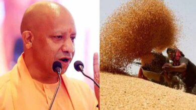 प्रदेश में गेहूं खरीद ने पकड़ी रफ्तार, 28 अप्रैल तक 6.10 लाख मीट्रिक टन गेहूं की खरीद प्रदेश में गेहूं खरीद ने पकड़ी रफ्तार, 28 अप्रैल तक 6.10 लाख मीट्रिक टन गेहूं की खरीद