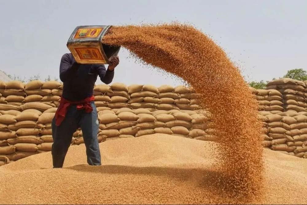 खरीदी में तेजी, सर्वर स्लो: 44 हजार किसान अब भी स्लॉट के इंतजार में, तारीख बढ़ी 23 मई तक खरीदी में तेजी, सर्वर स्लो: 44 हजार किसान अब भी स्लॉट के इंतजार में, तारीख बढ़ी 23 मई तक