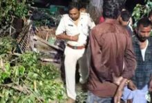 बिहार में बदला मौसम बना काल: तेज आंधी से कच्चे मकान पर गिरा पेड़, मां समेत 5 की जान गई