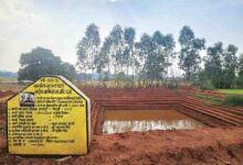 मनरेगा की आजीविका डबरियां बन रहीं ग्रामीण समृद्धि का आधार