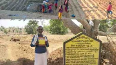 महात्मा गांधी नरेगा से जल संरक्षण का महाअभियान, रोजगार और आजीविका को मिली नई ताकत महात्मा गांधी नरेगा से जल संरक्षण का महाअभियान, रोजगार और आजीविका को मिली नई ताकत