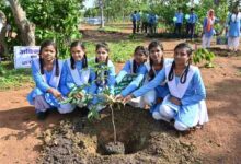 हरित विकास, जल संरक्षण और जनभागीदारी से पर्यावरणीय समृद्धि की ओर बढ़ता छत्तीसगढ़