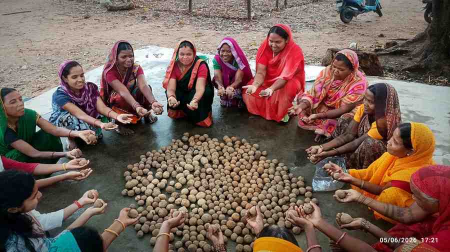 सीड बॉल बनाकर प्रकृति संरक्षण की अनूठी पहल, हरित जशपुर के निर्माण पर जोर सीड बॉल बनाकर प्रकृति संरक्षण की अनूठी पहल, हरित जशपुर के निर्माण पर जोर