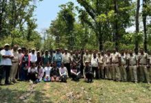 देवपुर में औषधीय वनस्पतियों पर एक दिवसीय बॉटनाइजेशन कार्यशाला का आयोजन