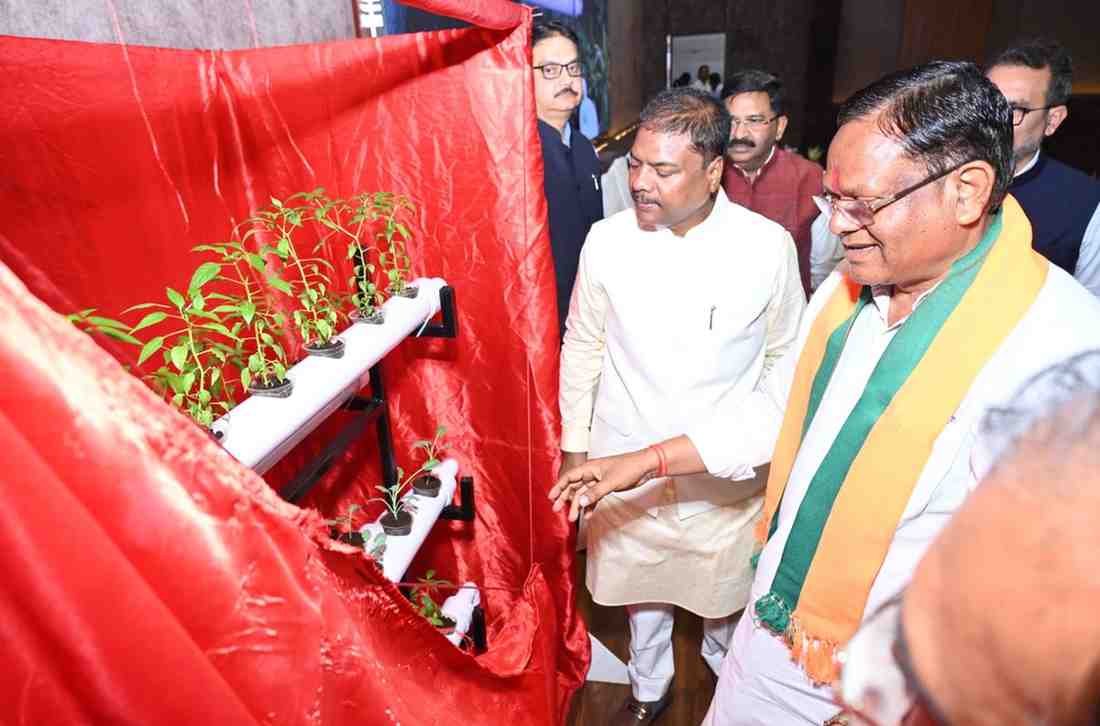 हाइड्रोपोनिक्स तकनीक : खेती का नया और स्मार्ट विकल्प,कम पानी, कम जगह और अधिक उत्पादन की आधुनिक खेती