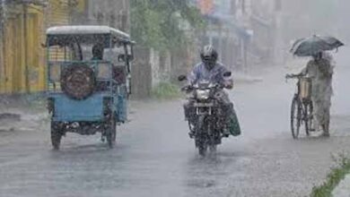 यूपी में बदला मौसम का मिजाज, रायबरेली में झमाझम बारिश से गर्मी से राहत