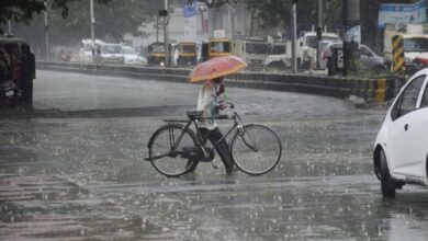 MP Monsoon Update: कब आएगा मानसून? भीषण गर्मी से जूझ रहे जिलों को जल्द राहत, 60 Kmph तूफान का अलर्ट MP Monsoon Update: कब आएगा मानसून? भीषण गर्मी से जूझ रहे जिलों को जल्द राहत, 60 Kmph तूफान का अलर्ट