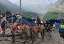अमरनाथ यात्रा 2026: श्रद्धालुओं की सुरक्षा के लिए पहली बार लॉन्च हुआ ‘पहचान’ ऐप