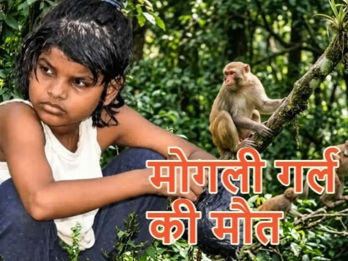 बंदरों के बीच मिली बच्ची की दर्दनाक कहानी का अंत, नहीं रहीं एहसास बंदरों के बीच मिली बच्ची की दर्दनाक कहानी का अंत, नहीं रहीं एहसास