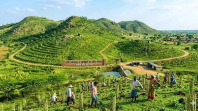 सोनभद्र की छह पहाड़ियों पर ट्रेंच तकनीक से बड़े पैमाने पर पौधारोपण की तैयारी सोनभद्र की छह पहाड़ियों पर ट्रेंच तकनीक से बड़े पैमाने पर पौधारोपण की तैयारी