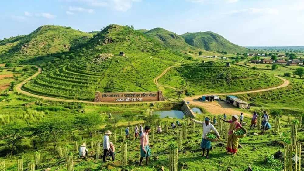 सोनभद्र की छह पहाड़ियों पर ट्रेंच तकनीक से बड़े पैमाने पर पौधारोपण की तैयारी